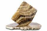 Swirling Polished Chocolate Calcite Cube With Base #342382-1